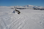 Høgfjellet