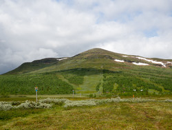 Ansätten
