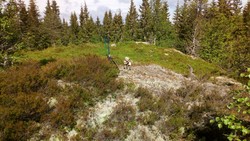 Finnhøgda