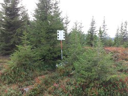 Høgsvehaugen