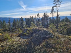 Bjørnemyrhaugen