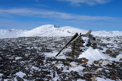 Storaurhøa