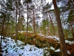 Mastemyrås