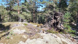 Bergsvannskollen Øst
