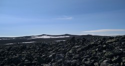 Reineskarvet