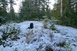 Pelåsen