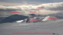 Harahorn Øst