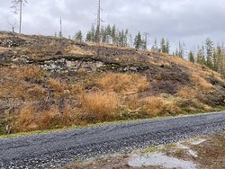 Bjønnhøgda