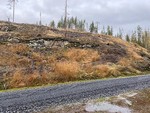 Bjønnhøgda