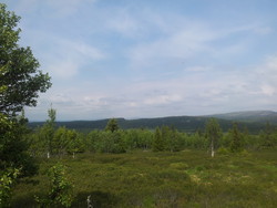 Digeråsen