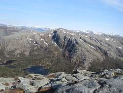 Brattliknuten