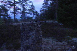 Vittenbergtoppen
