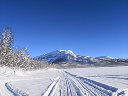 Maridalshøgda