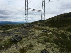 Bingsbuhaugen