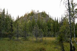 Søletjønnuten
