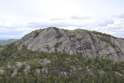 Brennstøylnuten