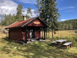 Ellingseterkoia