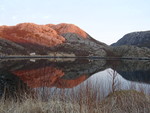 Kalvhammaren