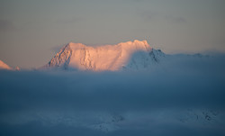 Grizzly Mountain