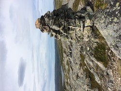 Svartvassheia