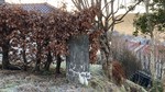 Fageråsen søyle