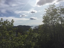 Nauserkollen