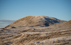 Måsåhøi