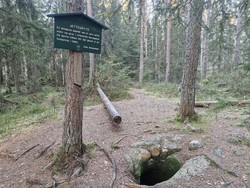 Solemskogen Jettegryte