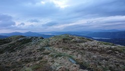 Såtbotshaugen