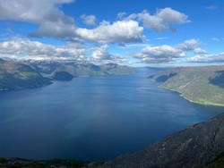 Høganhaug