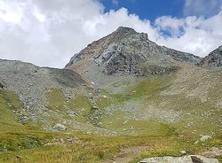 Grand Tournalin