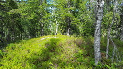 Vikseteråsen