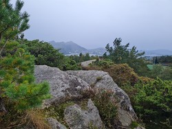 Litlevarden