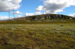 Bustvola