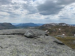 Svartenuten
