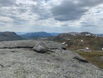 Svartenuten