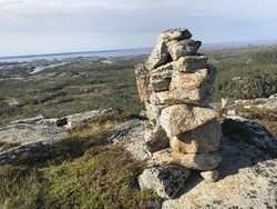 Forsnestua