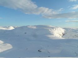 Skurveheia