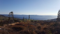 Luråsen