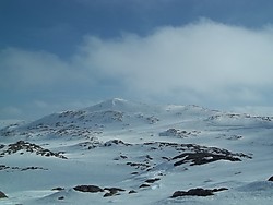Raudebergnuten