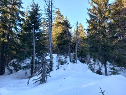 Gamlevangen