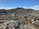 Julsennuten