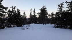 Vesleåsen