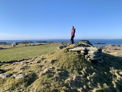 Hellesøy
