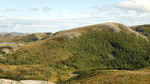 Brattlandsheia