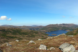 Movatnet
