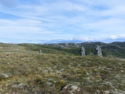 Vardheia