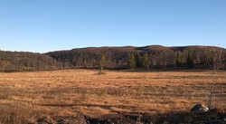 Fiskebufjellet