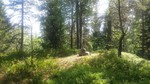 Stokkåsen