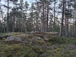 Sandungåsen